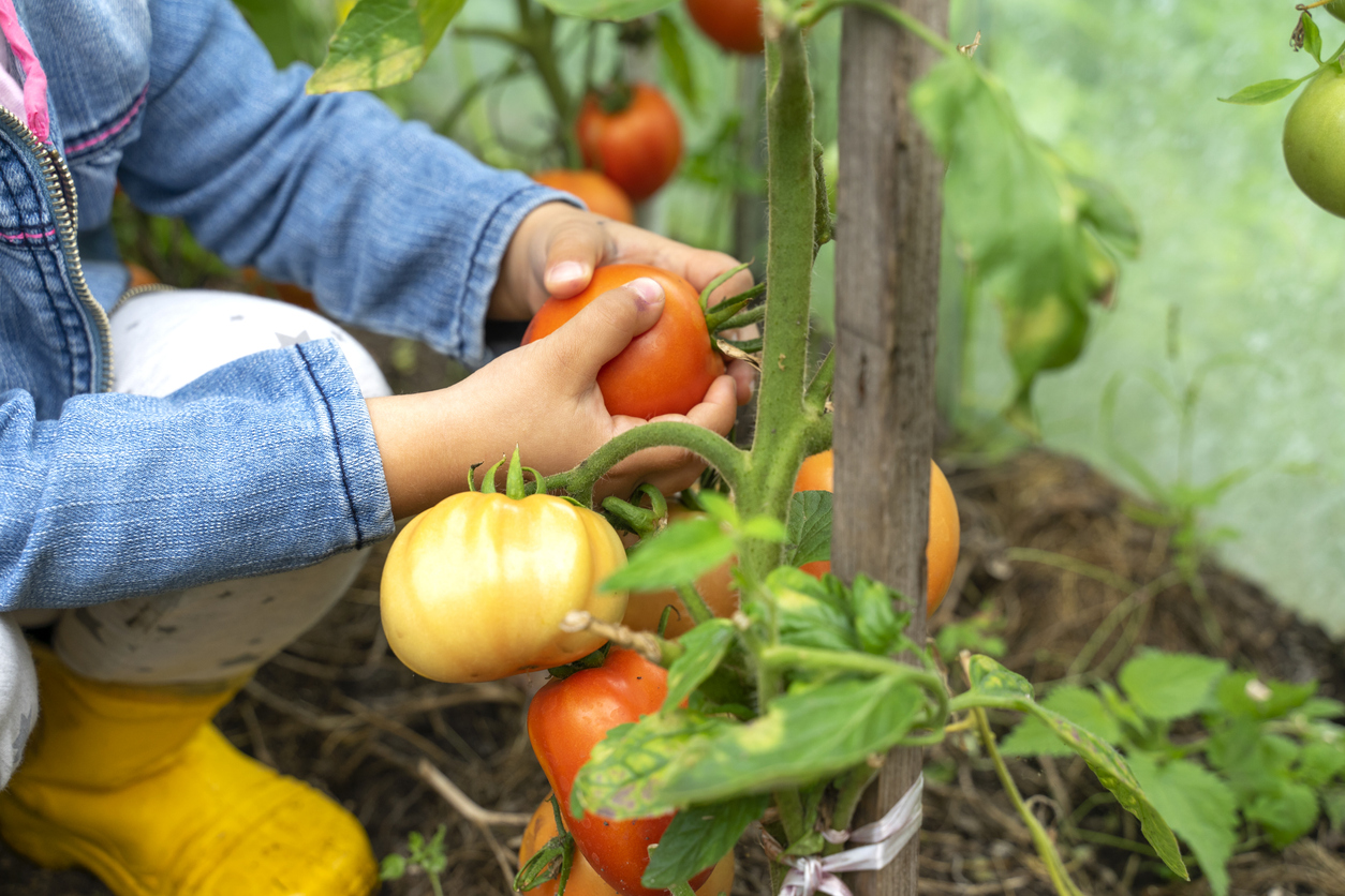 Cultivating More Than Crops